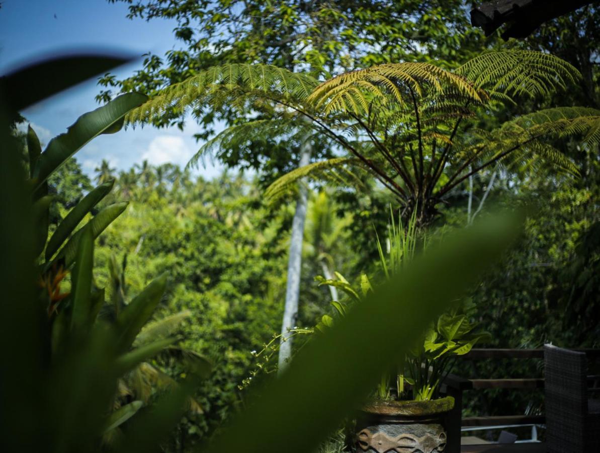 Angsoka Bungalow 3* Ubud (Bali)